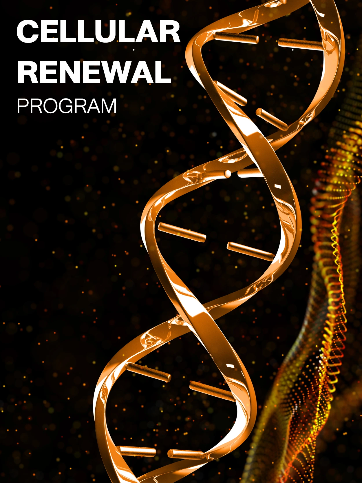 Stem Cell Therapy